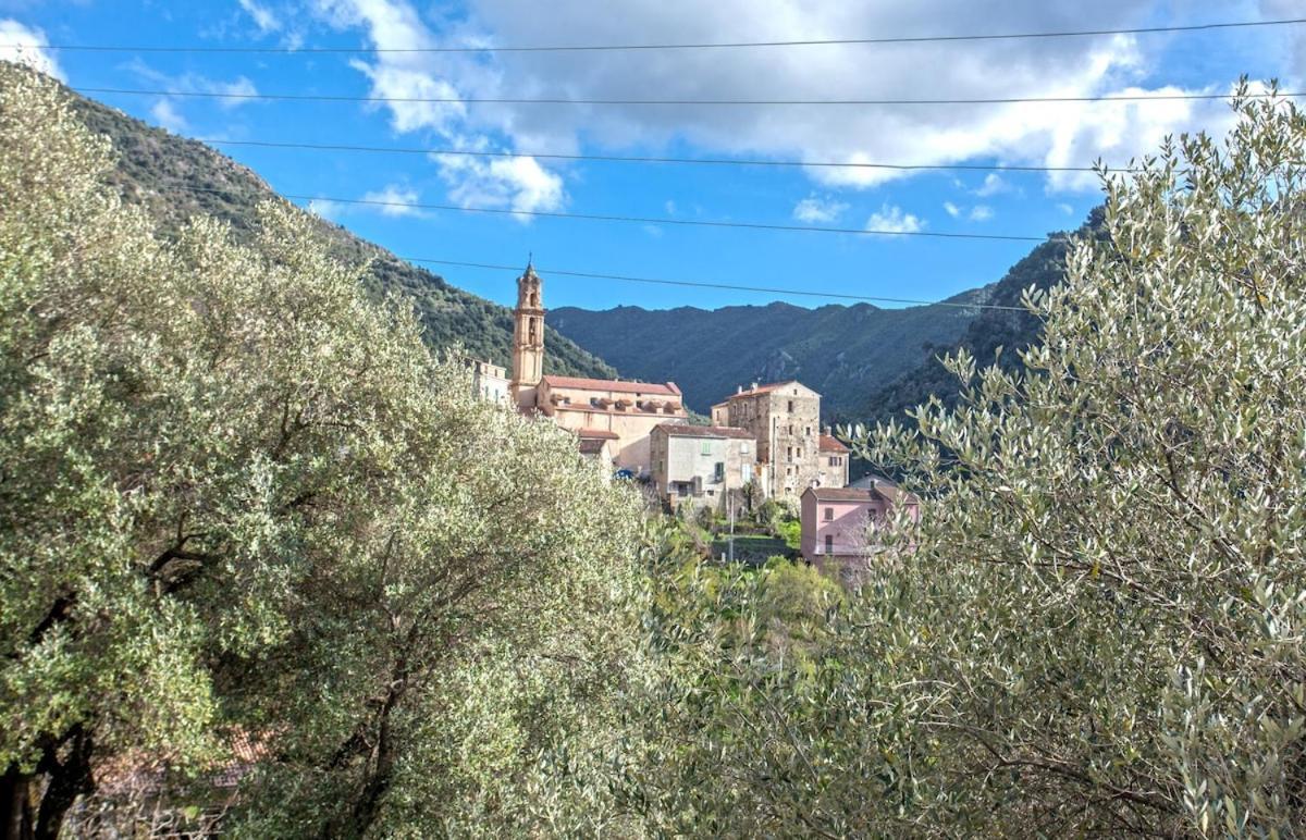 Casa Torra Daire Omessa Dış mekan fotoğraf