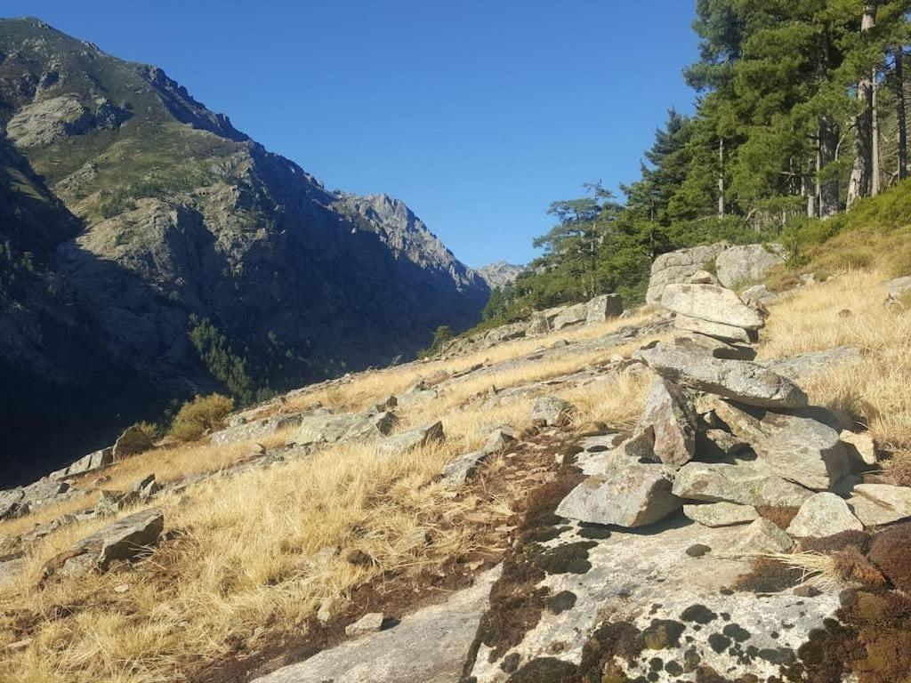 Casa Torra Daire Omessa Dış mekan fotoğraf