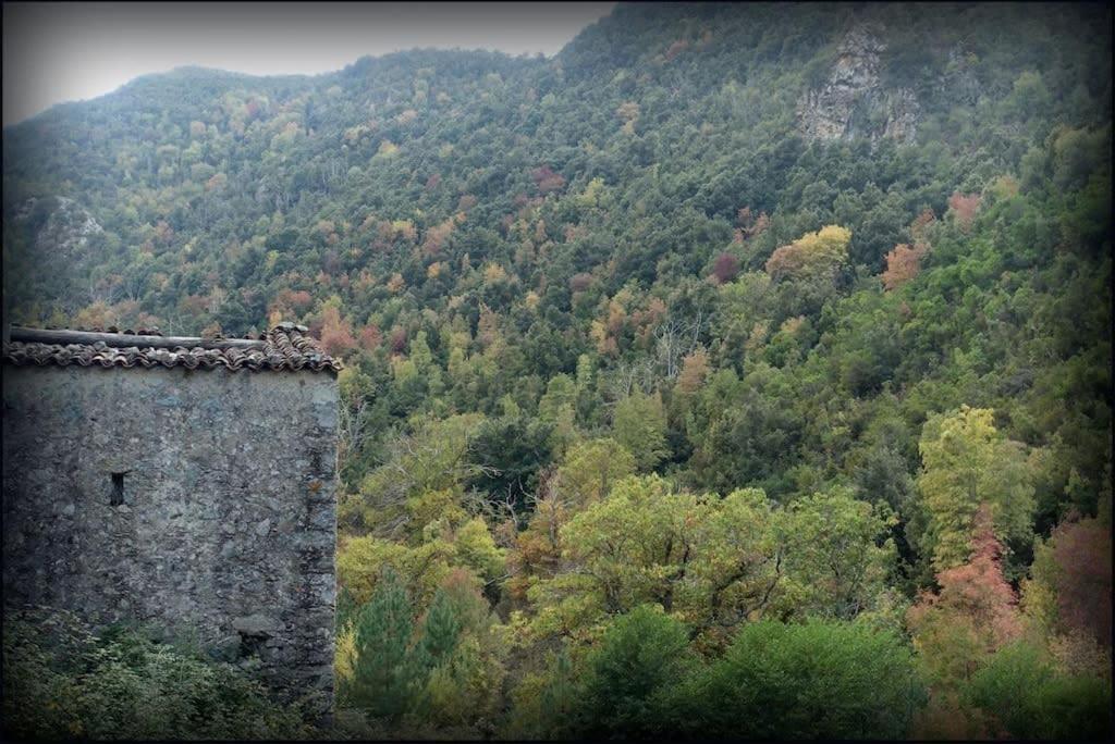 Casa Torra Daire Omessa Dış mekan fotoğraf